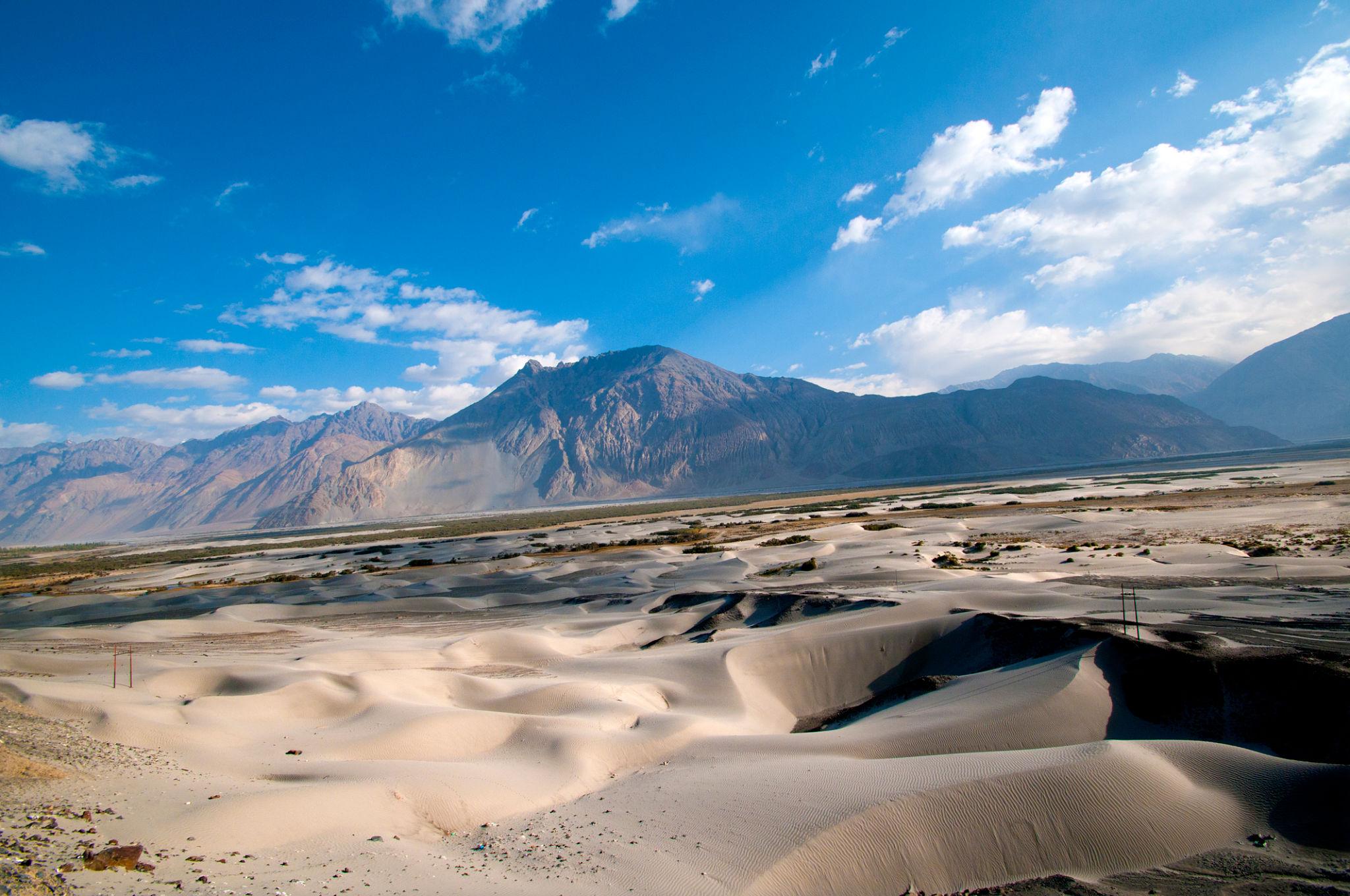 Day 4 in Nubra Valley, scene 2